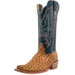 R. Watson Men's Antique Saddle Full Quill Ostrich Boot MEN - Footwear - Exotic Western Boots R Watson   