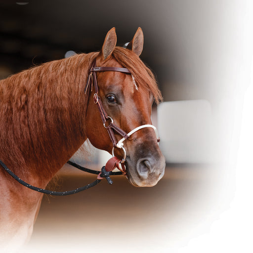 Professional's Choice Ranch Combination Bridle Tack - Rigs Professional's Choice   