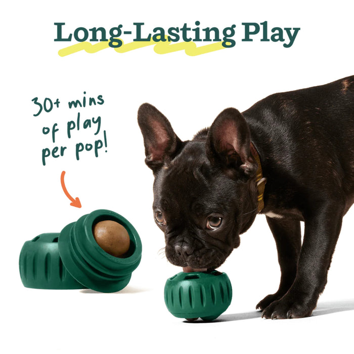 Pupsicle Refill Pops Pets - Toys & Treats Woof