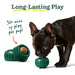 Pupsicle Refill Pops Pets - Toys & Treats Woof
