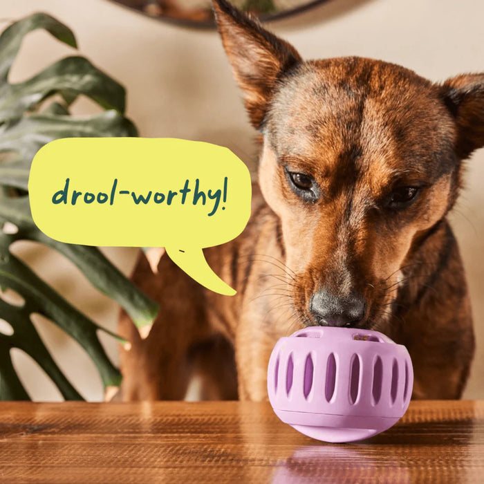 Pupsicle Refill Pops Pets - Toys & Treats Woof