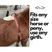 Bail Ranch Youth Riggin Tack - Roughstock Bail Ranch   