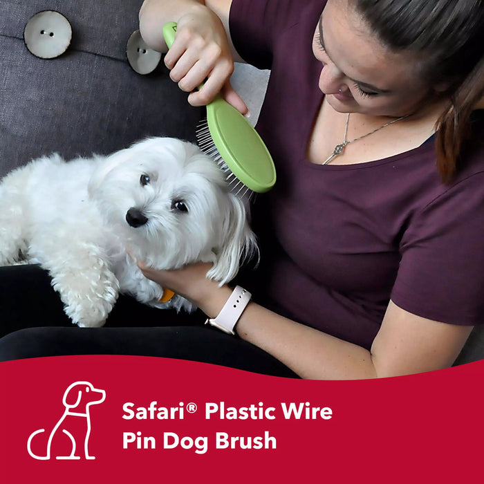 Safari Coat Care Wire Pin Brush Pets - Cleaning & Grooming Safari