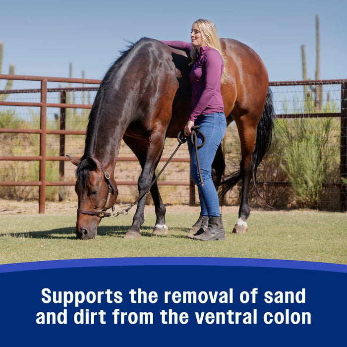 Farnam SandClear™ Natural Psyllium Crumbles Equine - Supplements Farnam