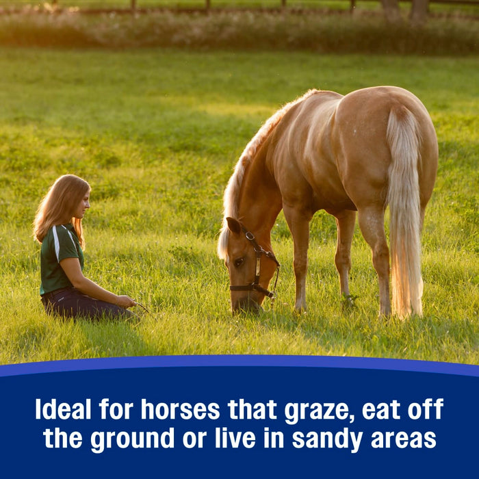 Farnam SandClear™ Natural Psyllium Crumbles Equine - Supplements Farnam