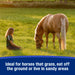 Farnam SandClear™ Natural Psyllium Crumbles Equine - Supplements Farnam