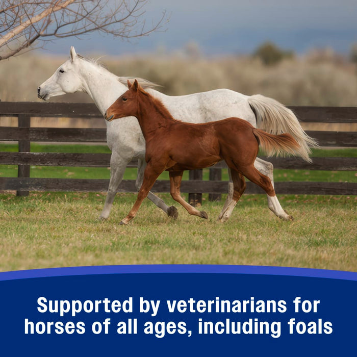 Farnam SandClear™ Natural Psyllium Crumbles Equine - Supplements Farnam