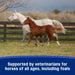 Farnam SandClear™ Natural Psyllium Crumbles Equine - Supplements Farnam