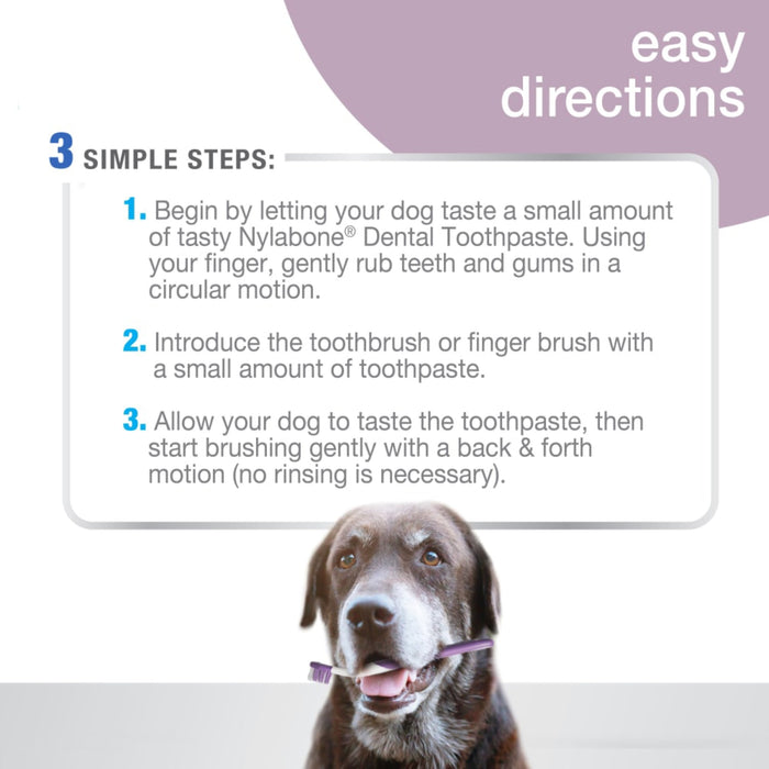 Advanced Oral Care Senior Dog Dental Kit Pets - Cleaning & Grooming Nylabone