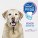 Advanced Oral Care Senior Dog Dental Kit Pets - Cleaning & Grooming Nylabone