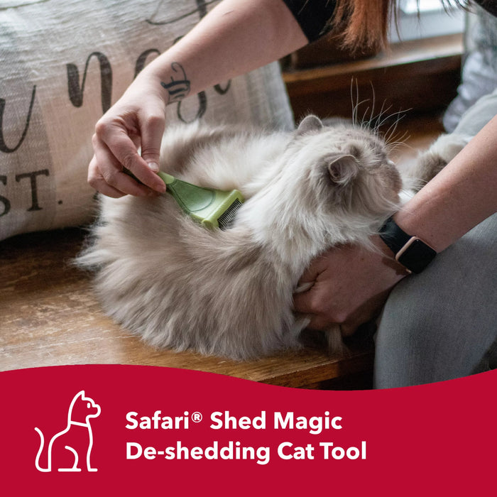 Safari Shed Magic for Cats