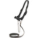 Sullivan's Scalloped Show Halter Livestock - Show Supplies Sullivan's Supply