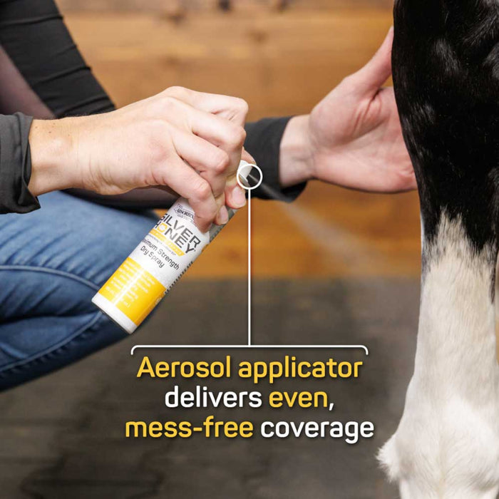 Silver Honey Maximum Strength Dry Spray First Aid & Medical - Topicals Absorbine