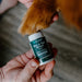 Skin & Paw Releaf Topical First Aid & Medical - Topicals Pet Releaf