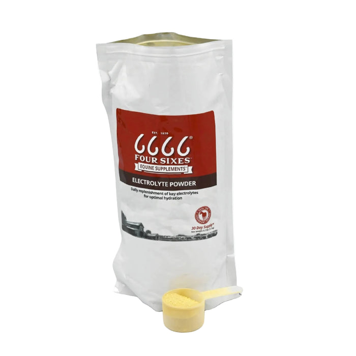 6666 Ranch Equine Electrolyte Recover Powder Equine - Supplements 6666 Collection 2.7 lb