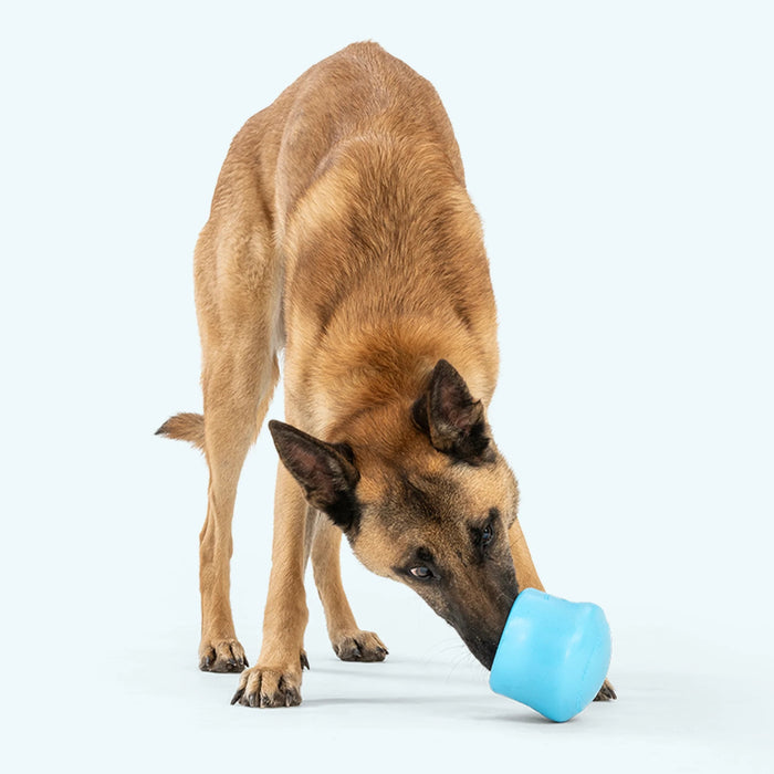 West Paw Toppl Canine Enrichment Toy