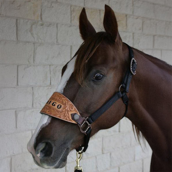 Trophy Bronc Halter with Starburst Conchos Customs & Awards - Halters Teskey's