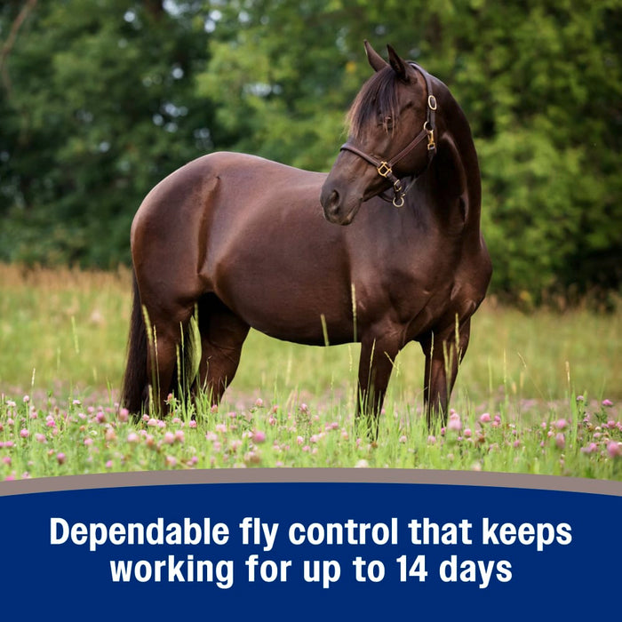 Farnam Tri-Tec Fly Repellent Equine - Fly & Insect Control Farnam