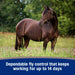 Farnam Tri-Tec Fly Repellent Equine - Fly & Insect Control Farnam