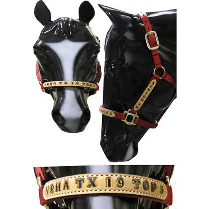 Trophy Halter #4. Customs & Awards - Halters Teskey's