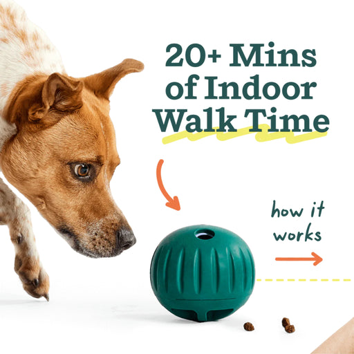 Woof Walkabout Pets - Toys & Treats Woof