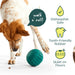 Woof Walkabout Pets - Toys & Treats Woof