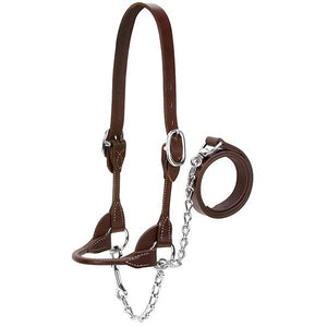 Weaver Dairy/Beef Rounded Show Halter Farm & Ranch - Show Supplies Weaver   