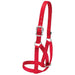 Weaver Barn Small Cow Halter Livestock - Show Supplies Weaver Red  