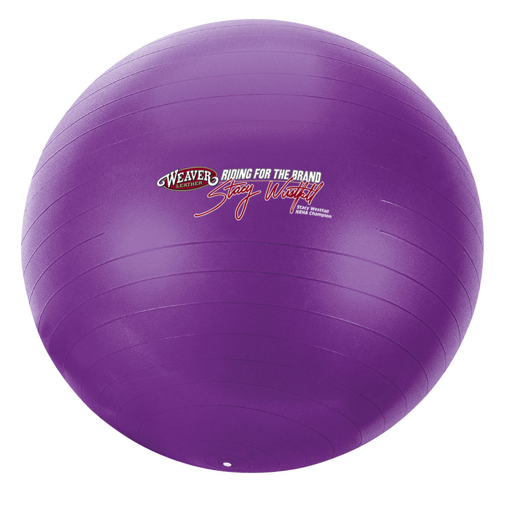 Stacy Westfall Small Activity Ball by Weaver Equine - Toys & Treats Weaver Leather   