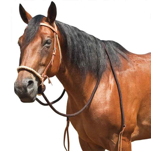 Teskey's Breaking Hackamore Tack - Nosebands & Tie Downs Mustang   
