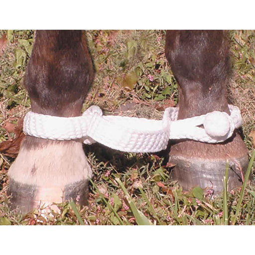 Teskey's Braided Hobbles Tack - Training Mustang