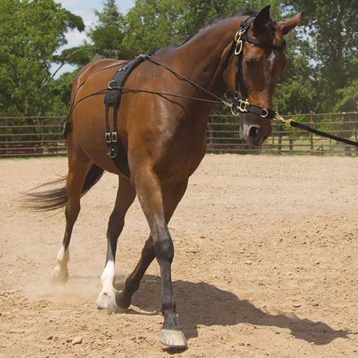 Mustang Balance Training System Tack - Training Mustang