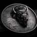 Comstock Heritage 3D Buffalo Buckle ACCESSORIES - Additional Accessories - Buckles Comstock Heritage   