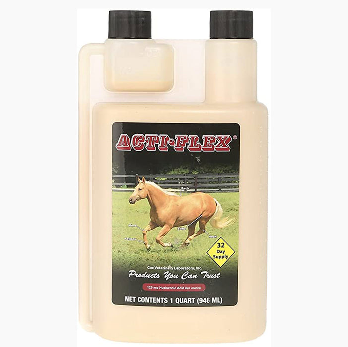 Cox Vet Acti-Flex Liquid Equine - Supplements Cox Vet Lab 1 QT