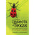 Common Insects of Texas and Surrounding States HOME & GIFTS - Books University Of Texas Press   