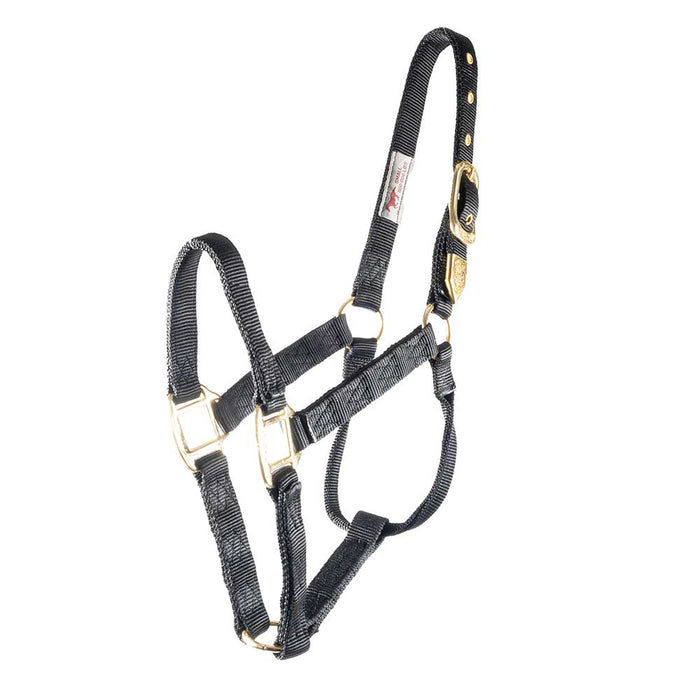 Hamilton 1" Deluxe Nylon Halter - Horse Sizes Tack - Halters & Leads Hamilton Black Foal