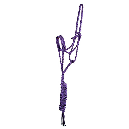 Teskey's Mule Tape Halter with Lead Tack - Halters & Leads Teskey's Purple