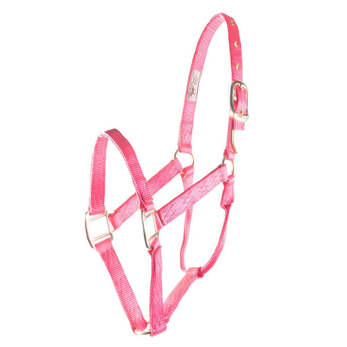 Hamilton 1" Deluxe Nylon Halter - Horse Sizes Tack - Halters & Leads Hamilton Hot Pink Foal