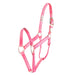 Hamilton 1" Deluxe Nylon Halter - Horse Sizes Tack - Halters & Leads Hamilton Hot Pink Foal
