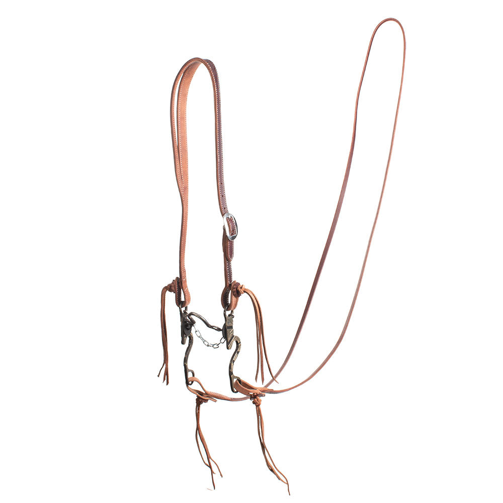 Patrick Smith Slit Ear Ported Chain Bridle Rig - Teskeys