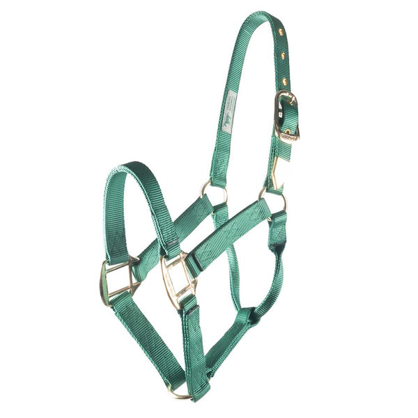 Halters & Leads