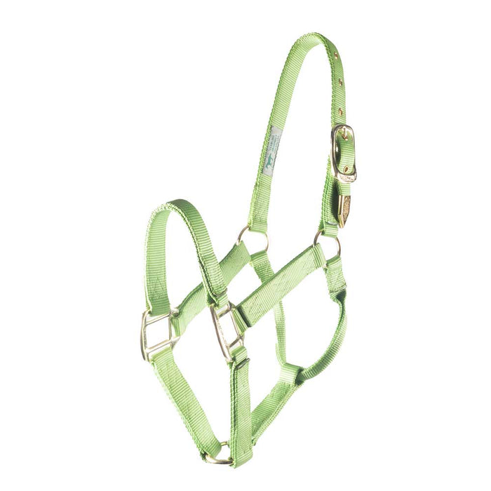 Hamilton 1" Deluxe Nylon Halter - Horse Sizes Tack - Halters & Leads Hamilton Lime Green Foal