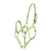 Hamilton 1" Deluxe Nylon Halter - Horse Sizes Tack - Halters & Leads Hamilton Lime Green Foal