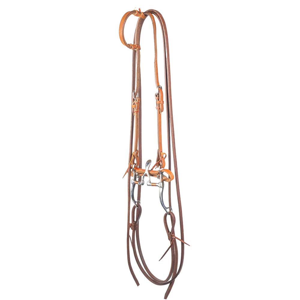 Teskey's Cathedral Correction Bridle Rig Tack - Rigs Teskey's   