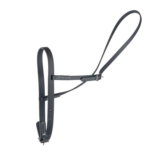 Teskey's Beta Flat Nose Cavesson Tack - Nosebands & Tie Downs Teskey's Black