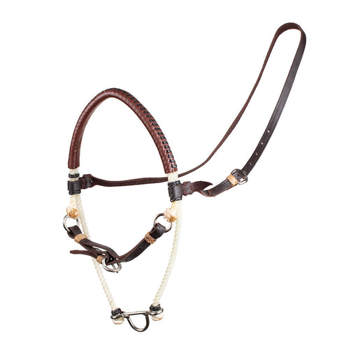 Teskey's Noseband with Cavesson Tack - Nosebands & Tie Downs Teskey's Heavy Oil