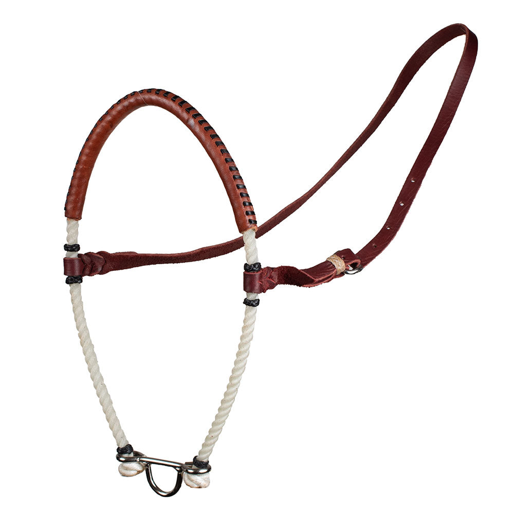 Teskey's Single Rope Leather Noseband | Stainless Hardware — Teskeys
