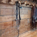 Vintage Horse Bridle Rig Tack - Rigs MISC