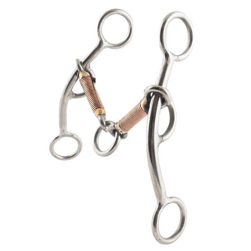 Stainless Steel Lifter Lifesaver Bit Tack - Bits Formay   
