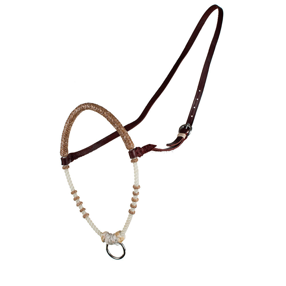 Teskey’s Rawhide Covered Rope Noseband | White Rope | Natural Rawhide ...
